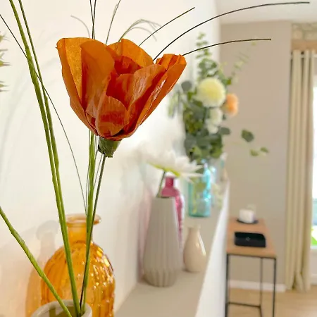 아파트 L'intemporel - Grand T2 Confort En Hypercentre 카스트르