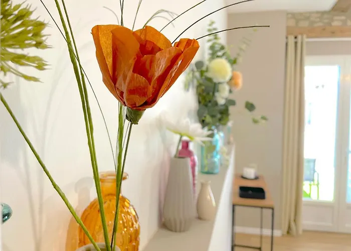 Апартаменты L'intemporel - Grand T2 Confort En Hypercentre Кастр